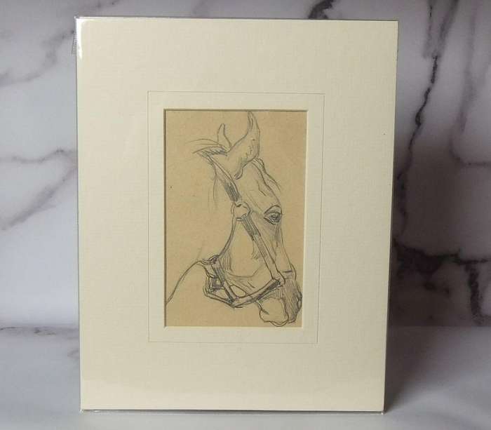 An original pencil sketch by international artist Hedwig Brecher Eibuschitz " horse study "