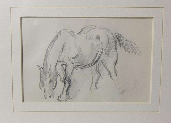 An original pencil sketch by international artist Hedwig Brecher Eibuschitz " horse study "