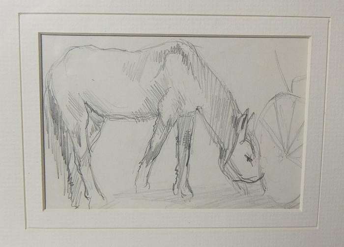 An original pencil sketch by international artist Hedwig Brecher Eibuschitz " horse study "