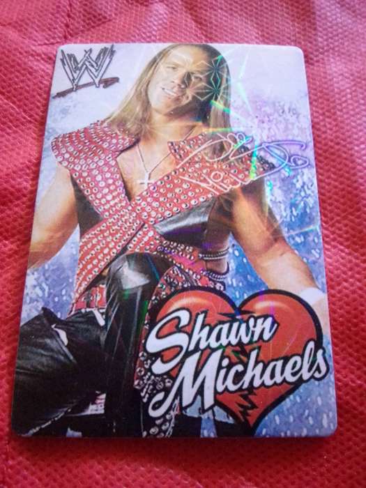 WWE RAW 'SHAWN MICHAELS' TRADING CARD