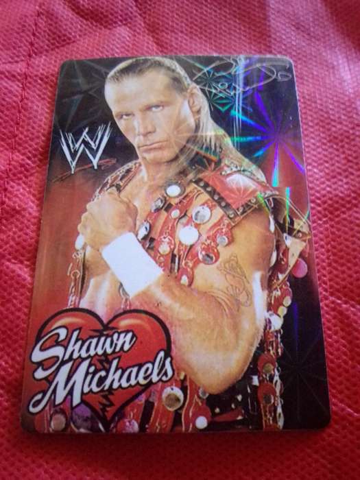 WWE RAW 'SHAWN MICHAELS' TRADING CARD