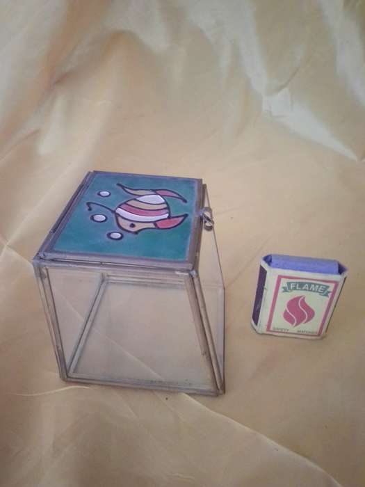 Odd Shaped Glass Display Box