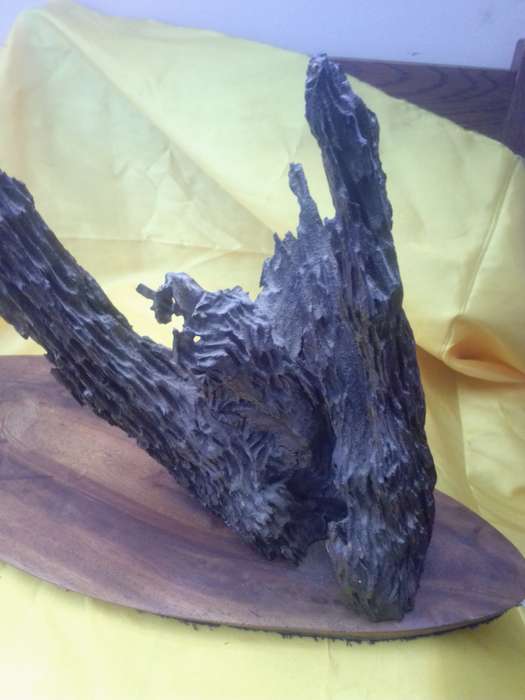 Stunning Vintage Driftwood Table Lamp