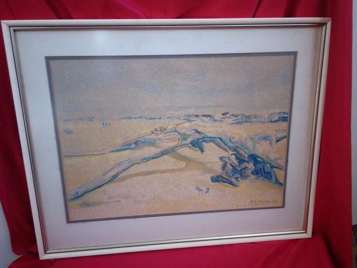SA Artist R.F. Towne Watercolour 'Driftwood at Beachview PE' Signed 1982