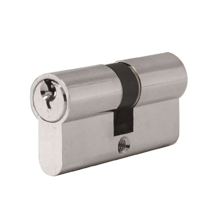 Fortis Euro Profile Cylinder NP