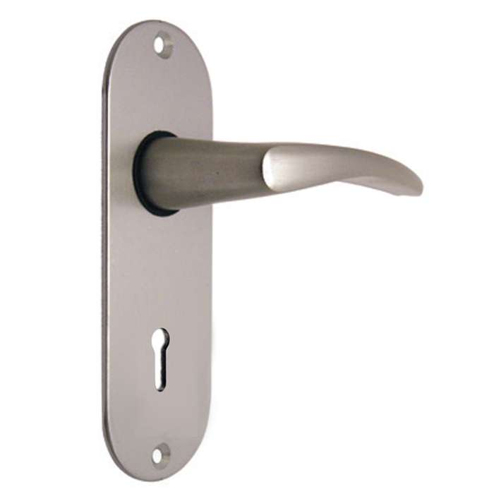 Union Waterbok Door Furniture Oval Plate Lock AS