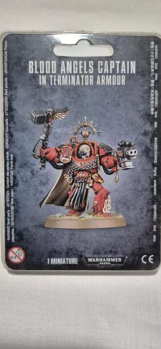 Warhammer 40k Blood Angels Captain In Terminator Armour