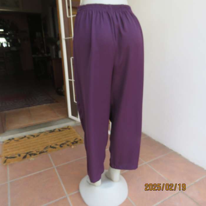 EXCEPTIONAL mulberry comfy dress pants. Bandless front. Pleats. Elasticated back. Size 42.As new