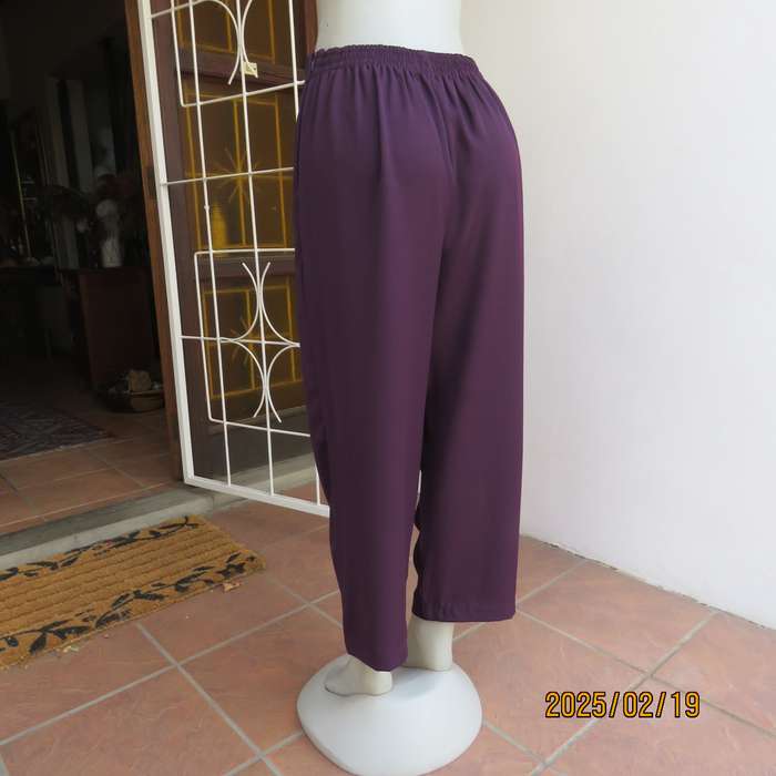 EXCEPTIONAL mulberry comfy dress pants. Bandless front. Pleats. Elasticated back. Size 42.As new