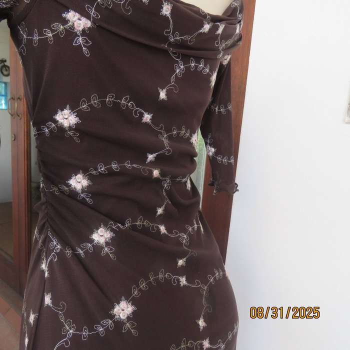 TRUWORTHS sheer brown embroidered lined size 32 dress. Fold over collar.