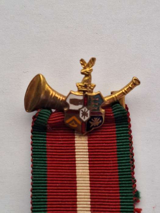 Vintage Ancient order of Foresters medal 1947