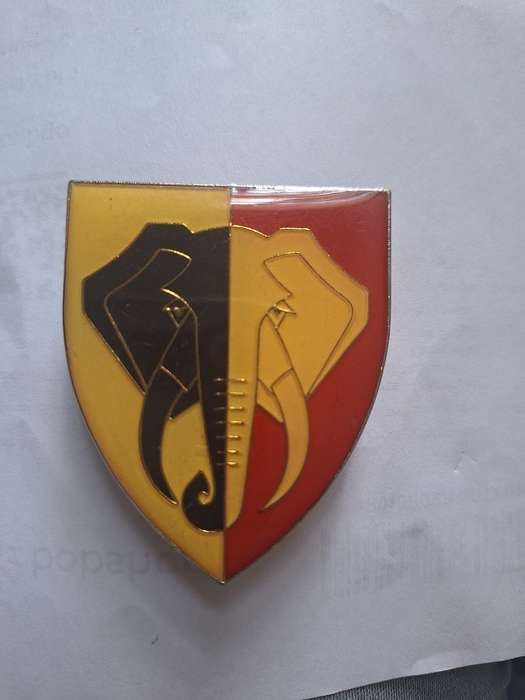 SWATF 33/107 Battalion flash, also called Eastern Caprivi Battalion