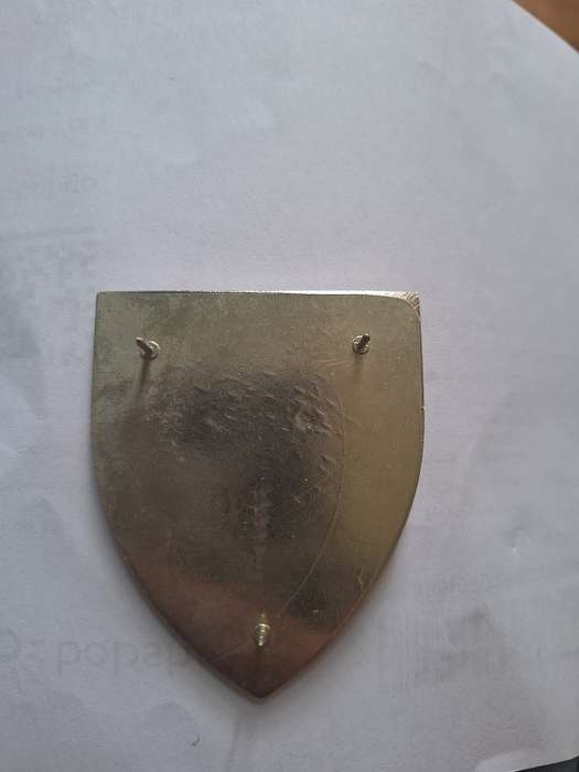 SWATF 33/107 Battalion flash, also called Eastern Caprivi Battalion