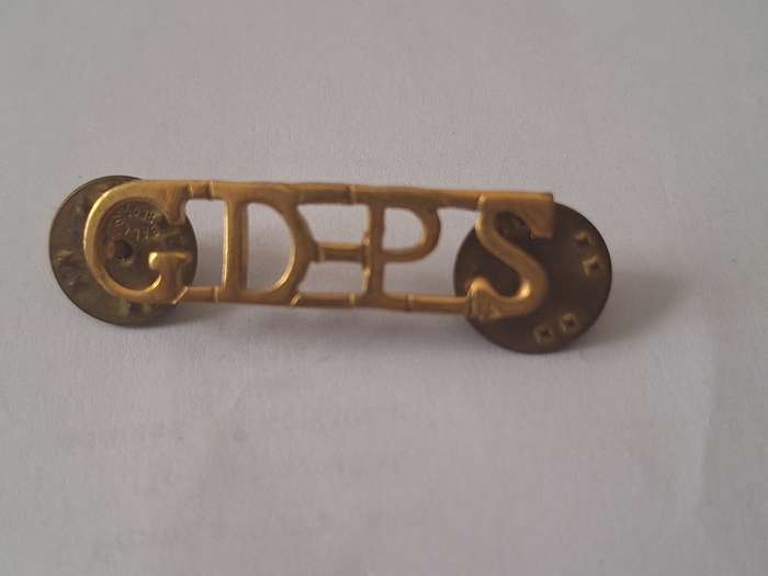 Prison service/gevenge diens title badge