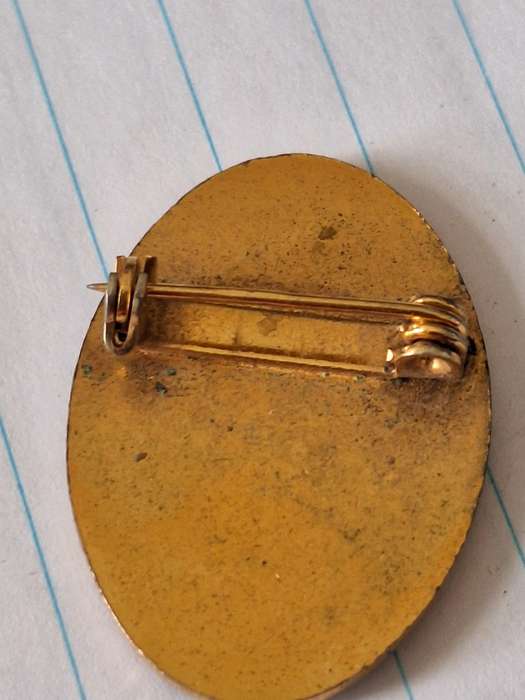 SAWBT pRETORIA BADGE
