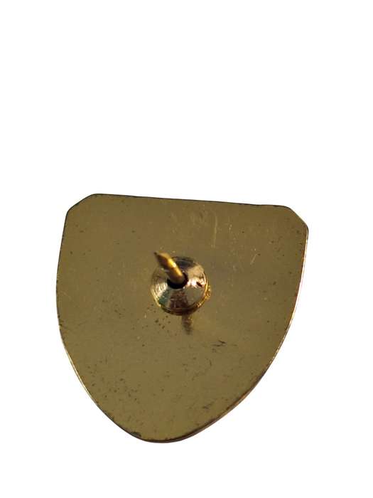 Vaticano lapel pin