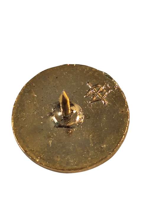 International police association lapel pin