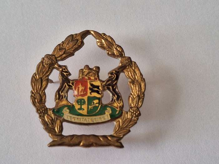 SA Prison services WO rank badge