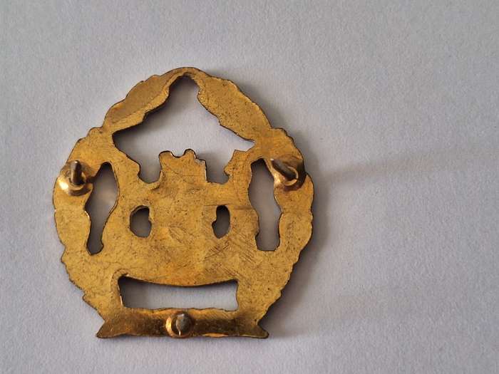 SA Prison services WO rank badge