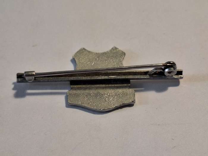 Scottburgh Tie pin