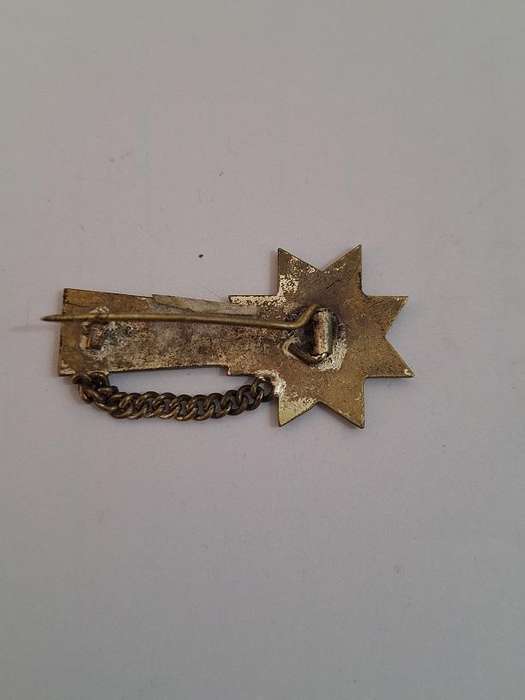 Veritas KCBU pin/badge