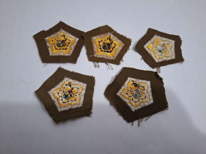 SADF Castle rank badges