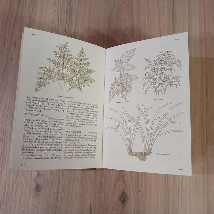 Reader's Digest Complete Guide to Gardening in South Africa vol 2