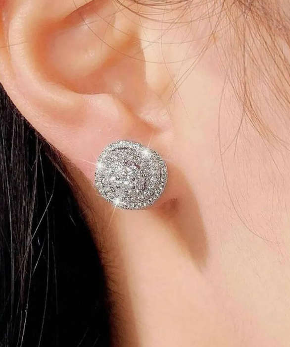Sparkling Rose Shape Silver Colour Stainless Steel Rhinestone Earrings