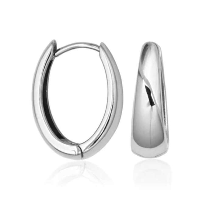 Silver Plated Stainless Steel Crest Style Earrings