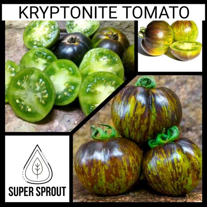 KRYPTONITE TOMATO x 15+ seeds