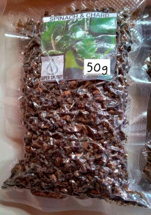 DOOMSDAY SPINACH & CHARD SEEDS x 50g