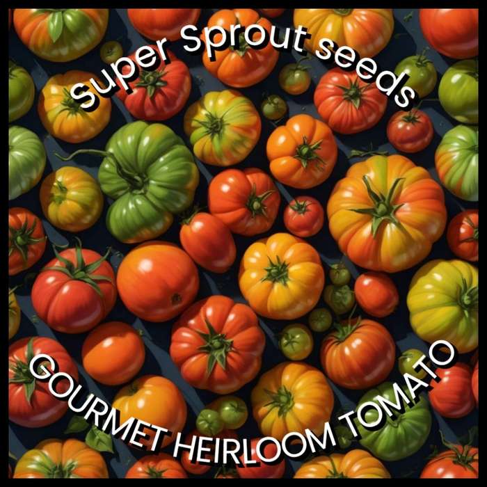 GOURMET HEIRLOOM TOMATO MIX x 25 organic seeds