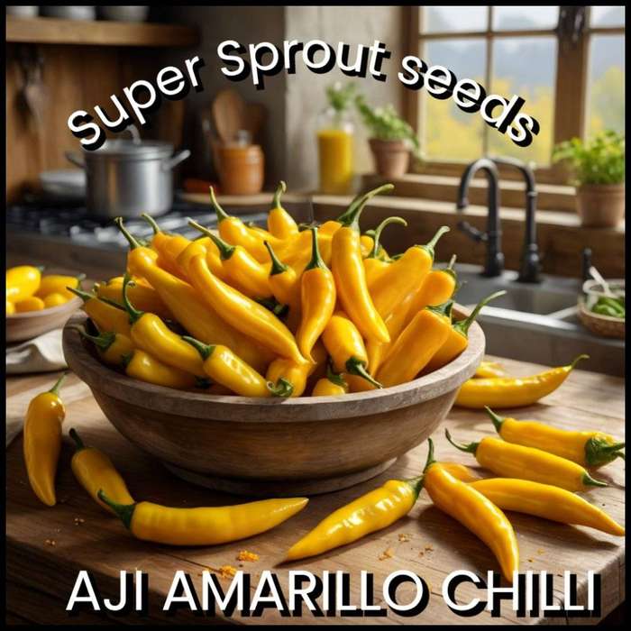 AJI AMARILLO CHILLI  PEPPER  x 10+ organic seeds