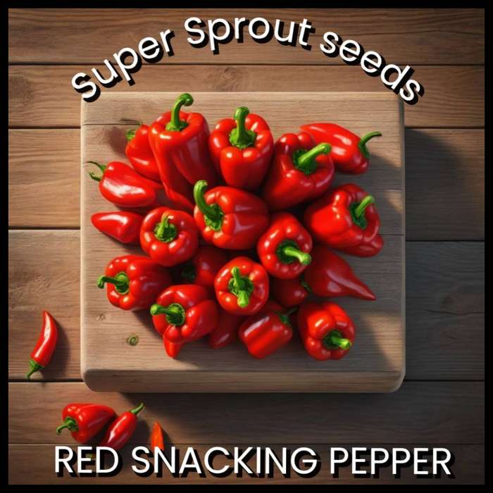 Red snacking pepper  x 10 seeds