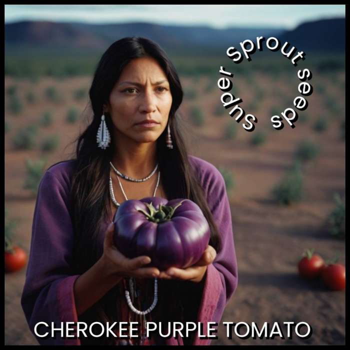 CHEROKEE PURPLE TOMATO x 15+ seeds