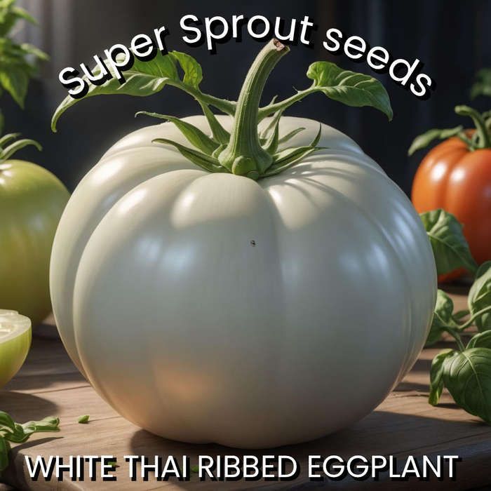 THAI WHITE RIBBED EGGPLANT  x 15 seeds