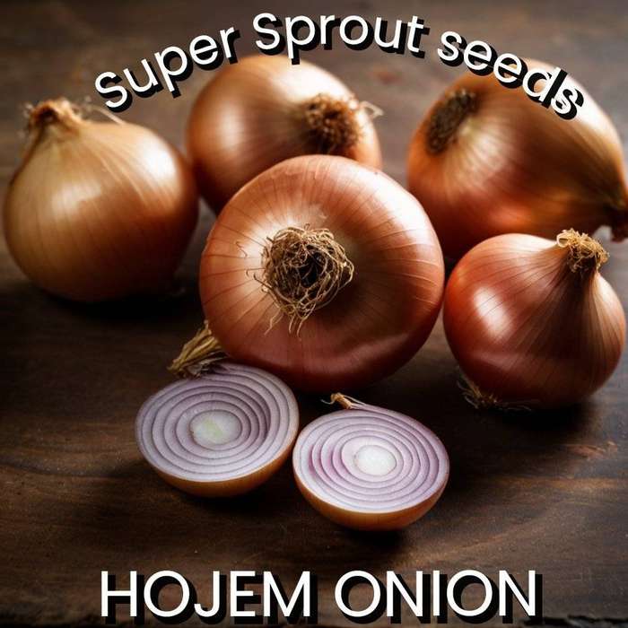 HOJEM ONION  x 50+ seeds