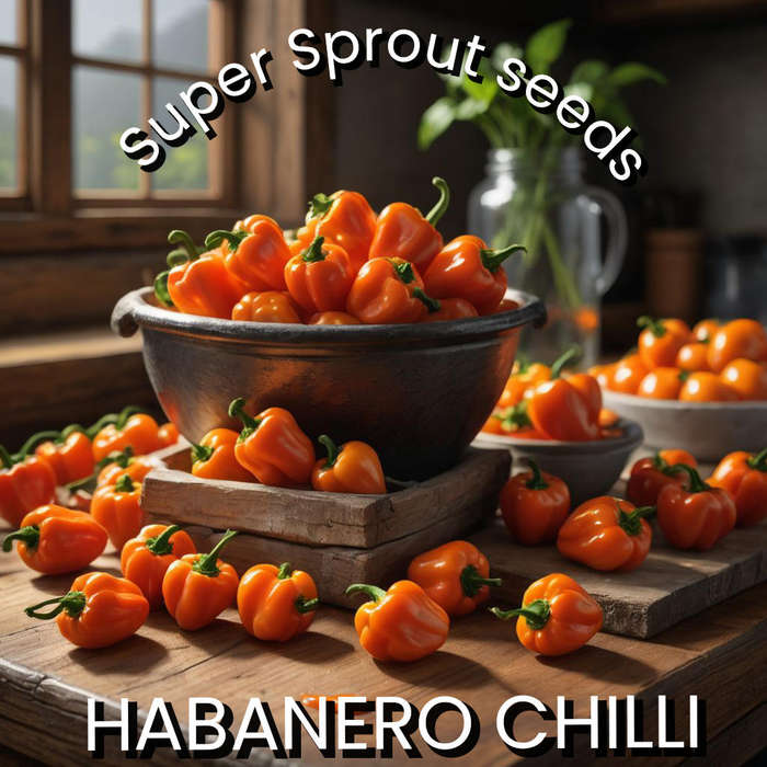 HABANERO CHILLI PEPPER x 10 seeds
