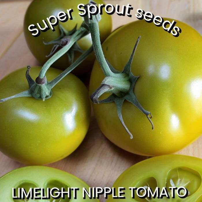 Limelight nipple tomato  x 15 seeds