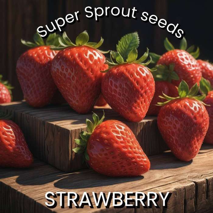STRAWBERRY x 10 seeds only