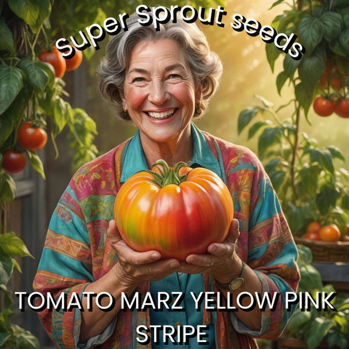MARZ YELLOW PINK STRIPE x 10 organic seeds