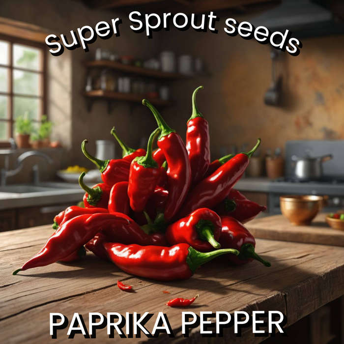 PAPRIKA PEPPER x 10+ organic seeds