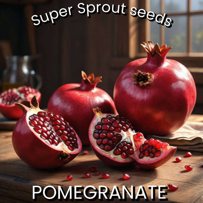 Pomegranate fruit x 10 seeds