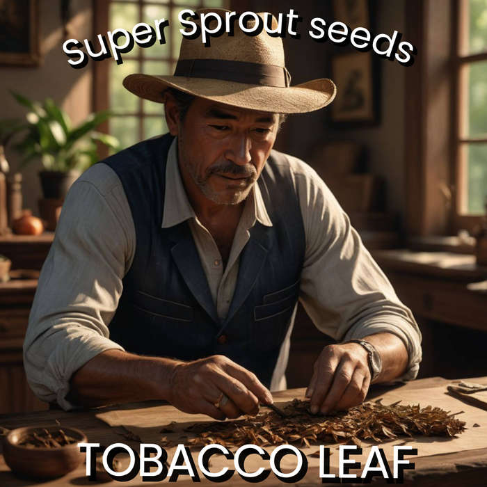 TOBACCO (Nicotiana spp.)x 100+ seeds