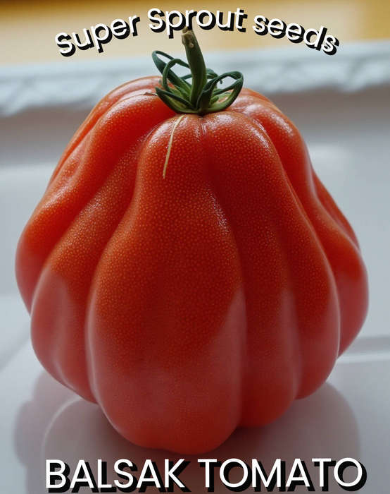 BALSAK TOMATO SEEDS x 15 seeds