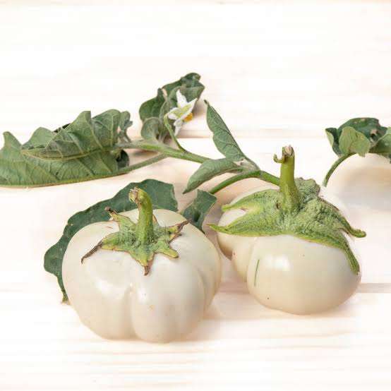THAI WHITE RIBBED EGGPLANT  x 15 seeds
