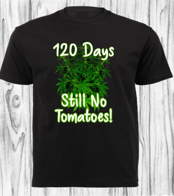 CANNABIS SHIRT_120 DAYS STILL NO TOMATOES