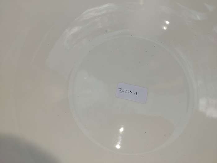 TWO BASIC WHITE BY MAXWELL & WILLIAMS SERVING BOWLS
