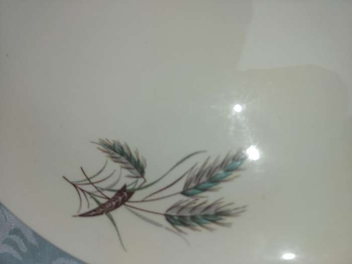 Alfred Meakin 1950s Dining Plate