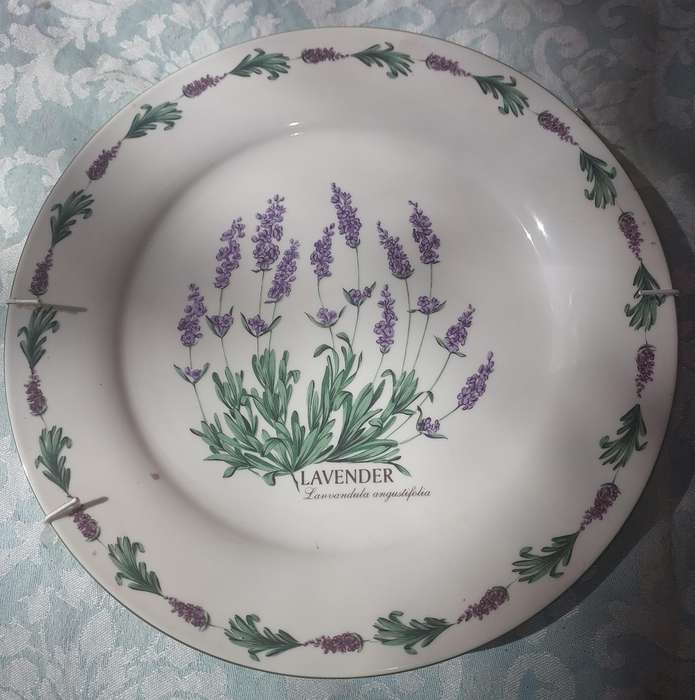 A VINTAGE WIESENTHAL GERMANY PORCELAIN PLATE PLAQUE SOLD AS IS